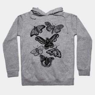 The Moths & Butterflies Hoodie